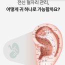 셀비오 두피앤건강 다산점 | 귀혈자리패치 셀비오 이어밸런스 귀 지압 패치 사용후기