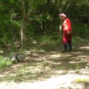 부인농원 이미지