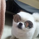 깡지맘쌀롱 네이버블로그