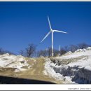 천원목장 이미지