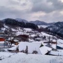 쑥티마을 네이버블로그