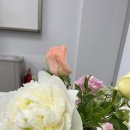 달빛농수산 네이버블로그