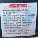인천 가볼만한곳 추천 아찔한 월미도 슬링샷 후기