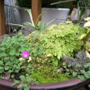 정인플라워 이미지