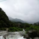 삼일민박 네이버블로그
