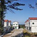 프렌치 비자림 이미지