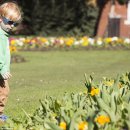 YELLOW HILL 이미지