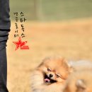단비