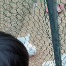 맘마농장 이미지