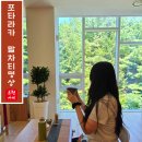 명상 | 양양 신상 웰니스호텔 포타라카 컴패션티 말차티명상 클래스 후기