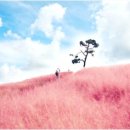 풍요로운 기다림 이미지