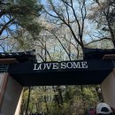 시온안경 | [러브썸페스티벌] 안경낀아저씨가 ‘라이즈’ 보러 러브썸 페스티벌 다녀옴