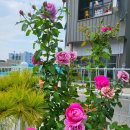 현대배관 이미지