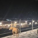 별그리고남해 이미지