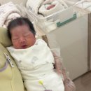 남양유업창동.수유가정 | 호산여성병원 제왕절개 2박3일 입원 비용 로얄방 식사 솔직후기