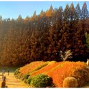 명수목장 이미지