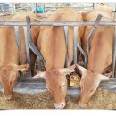 늘찬농장 이미지