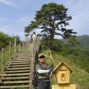 지리산하늘정원민박 | 남원의 노고단과 뱀사골에서 내 몸에 맞는 산행을 아내와 함께