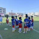 포항포은축구단