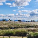 하늘공원(하부) 이미지