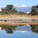거기제주