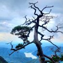 제53회 정기산행(60712) 오봉산 산행안내. 이미지