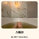 스파산