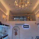 창원고양이분양 퍼스트캣 창원점 이미지