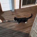 영광펜션놀마루 이미지