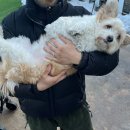 현서축산 이미지