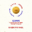 디앤티솔루션 이미지