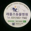 래플즈동물병원 이미지