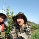 김길용농장 이미지