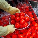 농업회사법인주식회사만나 이미지