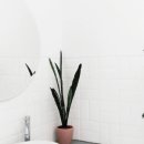 아우라케어 이미지