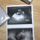 오복산전 네이버블로그