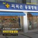 퍼피즌동물병원 이미지