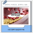 장안속내과의원 네이버블로그
