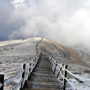 어의지 입구 이미지