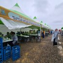 진봉심포드리마을 이미지