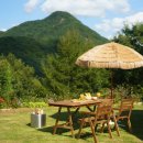 스테이 밭 이미지