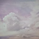 [재경관리사] 재무회계 이미지