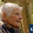 so tree farm 이미지