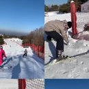 배진영 카카오 검색결과