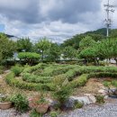 정원한우농장 이미지