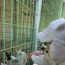 면수농장 | 양산 통도사 근처 대형카페 아기랑 가기 좋은 무타블랑 내돈내산 다녀온 후기