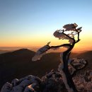 내려놓음 이미지