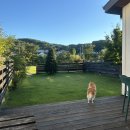 개도사랑펜션 이미지