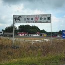 오케이승마장 | 제주 송당승마장 구경 승마체험 가격