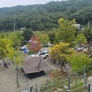 밤나무골 | 천안 캠핑장 3곳 비교 — 천안밤나무골가족캠핑장 찐후기